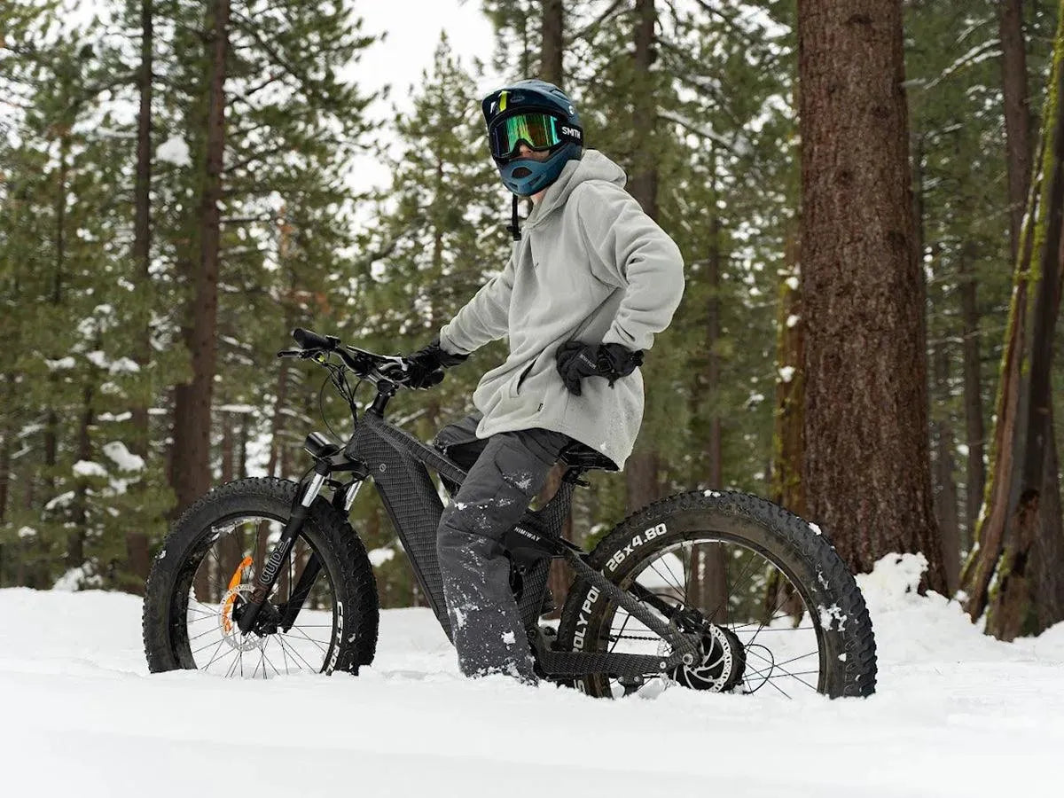 Himiway D7 Cobra 1000W Full Suspension Electric Hunting Fat Tire Bike
