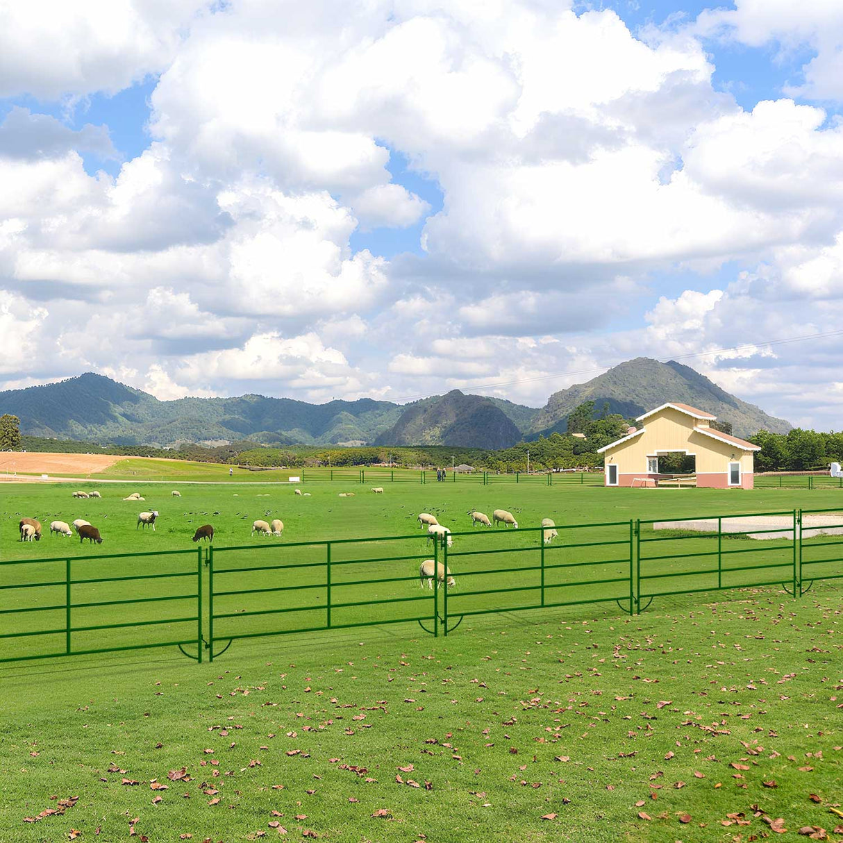 Chery Industrial 10x5 ft Cattle Panels Livestock Fence Panels, 28pcs