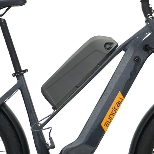 Eunorau Meta275 48V 500W Electric Cruiser Bike