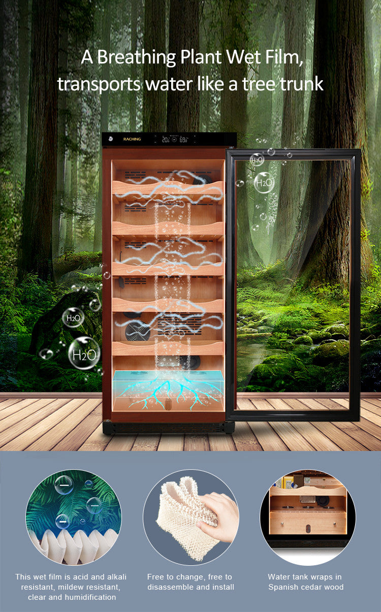 Raching C230A Electronic Humidor Cabinet Black With Canada Cedar Shelves | 900 Cigars