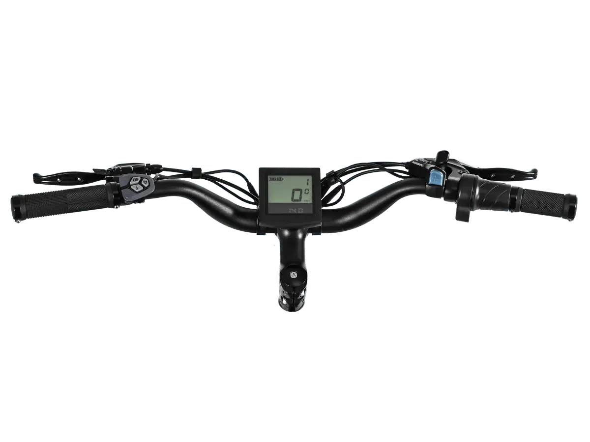 Himiway D3 (Cruiser) 750W Long Range Fat Tire Electric Bike