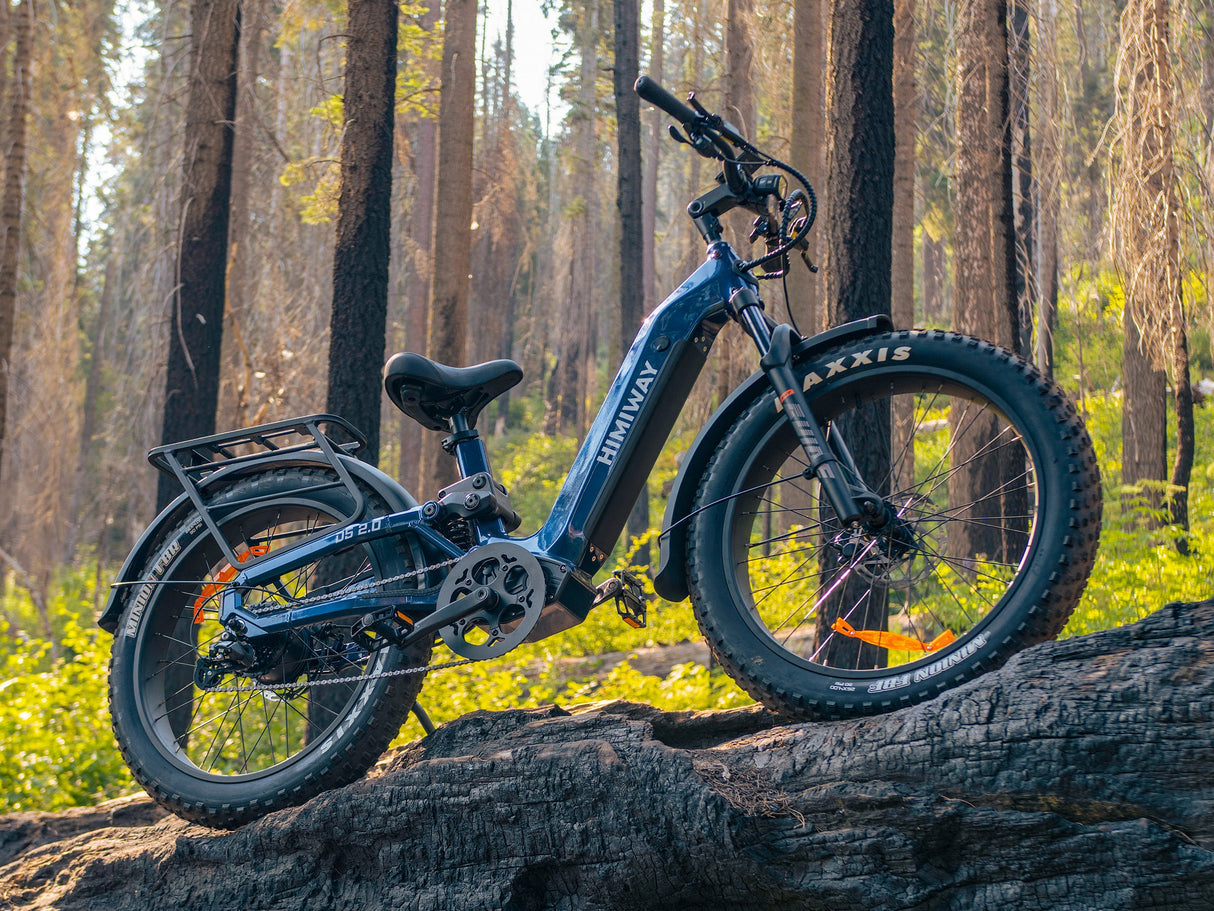 Himiway D5 ST 2.0 Step-Thru Electric Bike