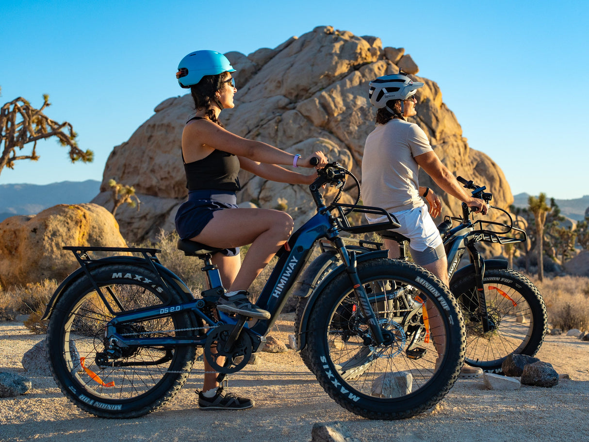 Himiway D5 ST 2.0 Step-Thru Electric Bike