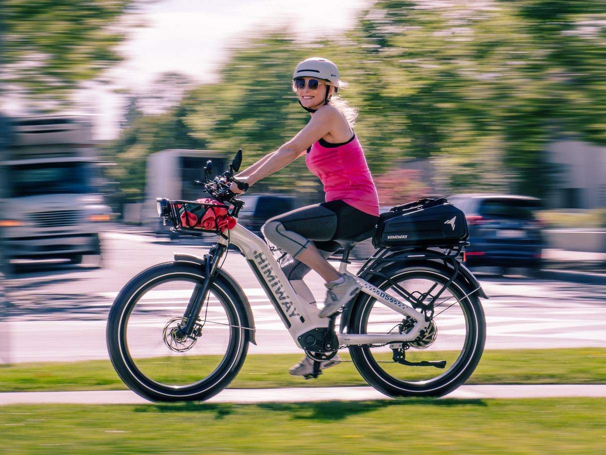 Himiway D5 ST (Zebra ST) 750W All-Terrain Step-Thru Fat Tire Electric Bike
