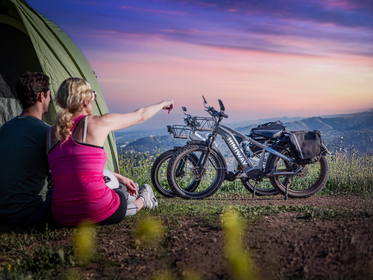 Himiway D5 ST (Zebra ST) 750W All-Terrain Step-Thru Fat Tire Electric Bike