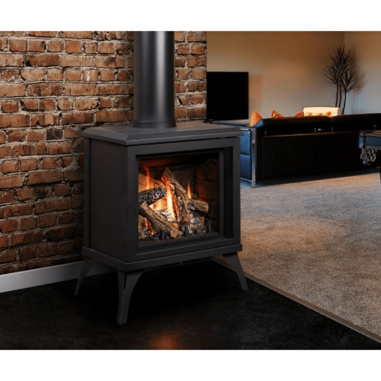 Kingsman FDV200S 23" Freestanding Direct Vent Gas Stove FDV200SLPE