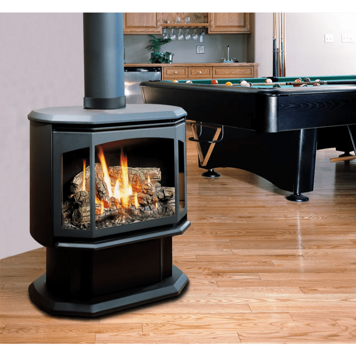 Kingsman FDV350 27" Freestanding Direct Vent Gas Stove FDV350NE