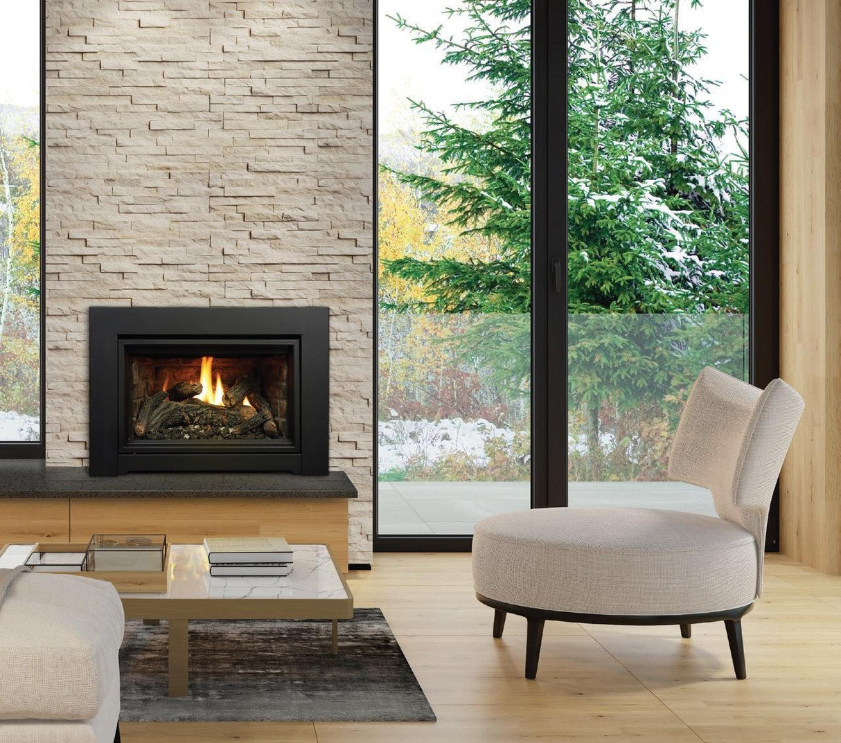 Kingsman IDV24 24" Millivolt Natural Gas Direct Vent Fireplace Insert IDV24N