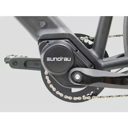 Eunorau D6 36V 10AH Electric Bicycle