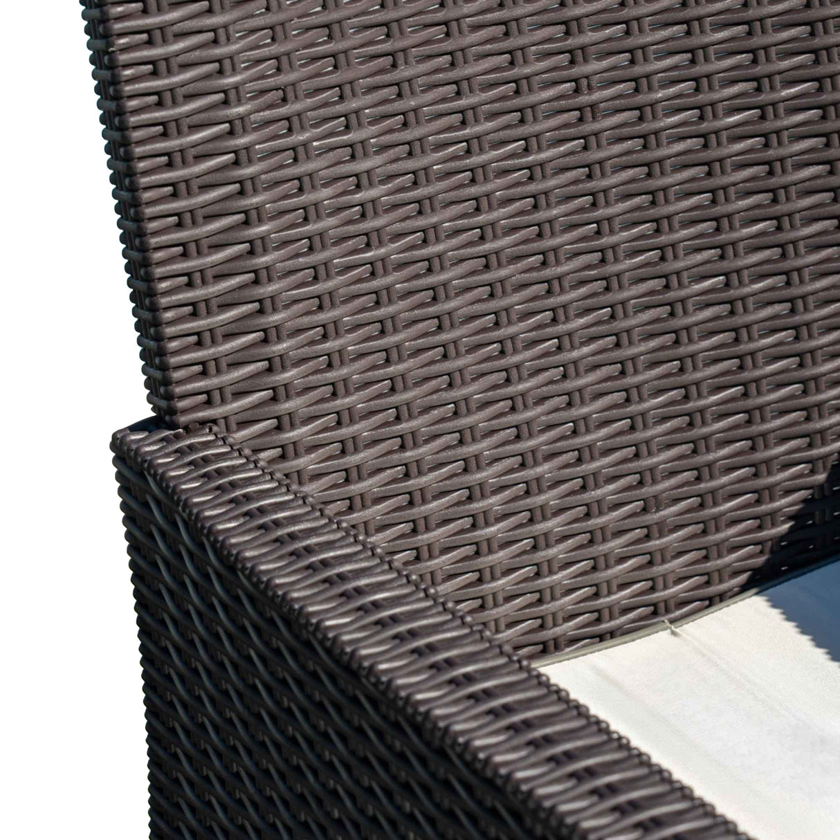 Rainbow Outdoor Nova Set of 2 Lounge Chairs With Cushion