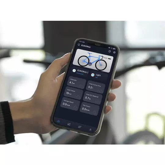 Eunorau D6 36V 10AH Electric Bicycle