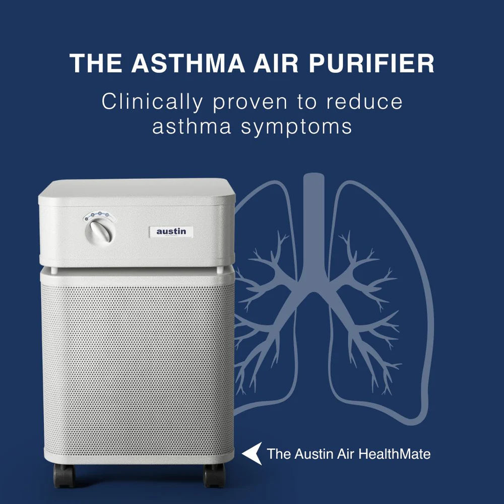 Austin Air HealthMate Air Purifier