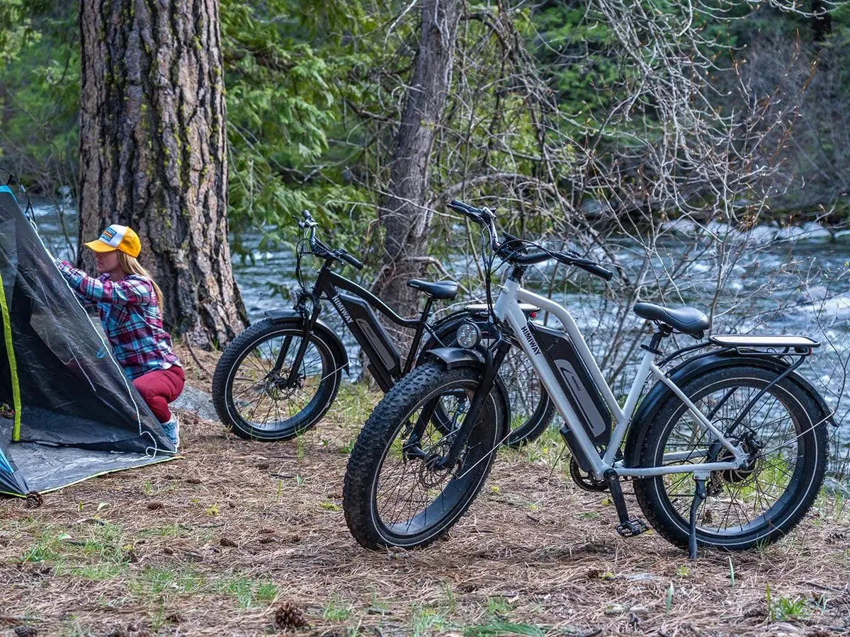 Himiway D3 ST (Cruiser ST) 750W All-Terrain Step-Thru Fat Tire Electric Bike