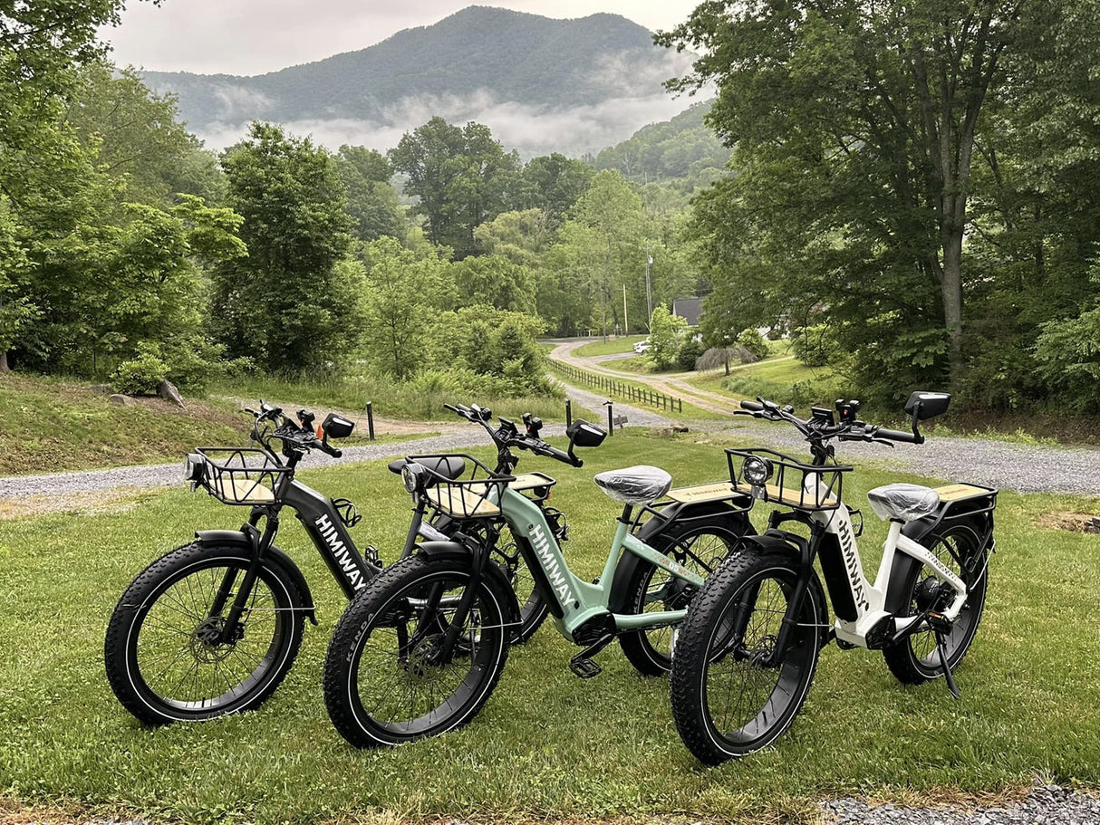 Himiway D5 ST (Zebra ST) 750W All-Terrain Step-Thru Fat Tire Electric Bike