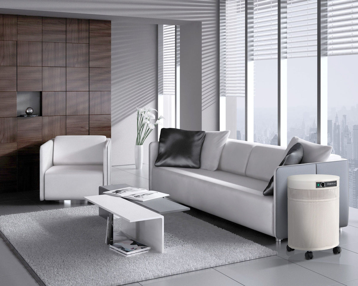 Airpura C600 Chemical and Gas Abatement Air Purifier