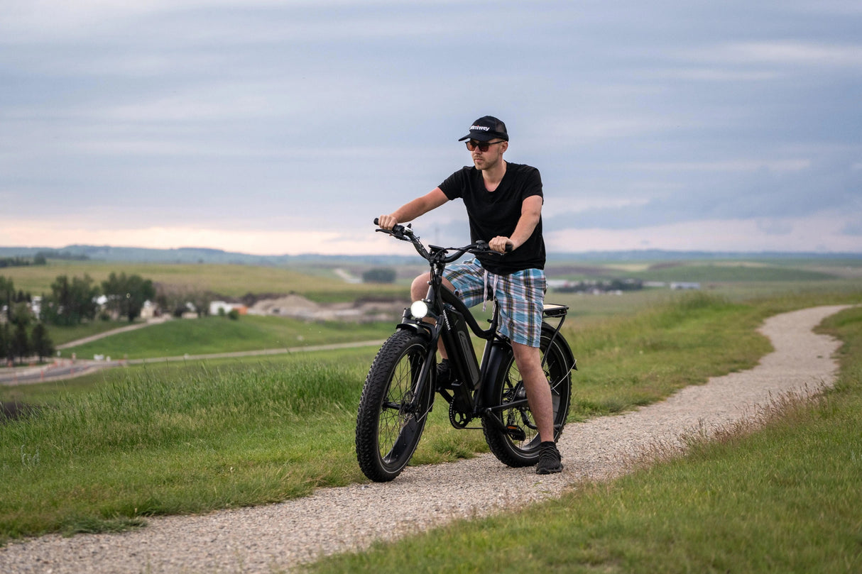 Himiway D3 (Cruiser) 750W Long Range Fat Tire Electric Bike