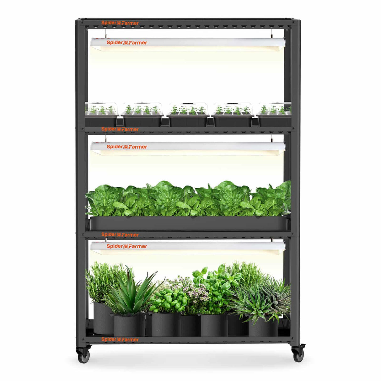 Spider Farmer SF600 growshelves Indoor Led Grow Light and Metal Plant Stand with Plant Trays