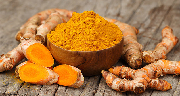 Harvest Right Medium Pharmaceutical Pro Freeze Dryer with Oil Free Vacuum Pump and 7 Trays in Stainless Steel