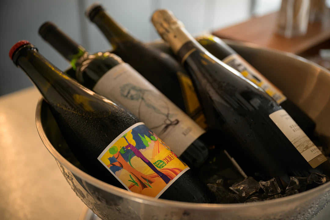 Key Features to Seek in a Premium Wine Cooler