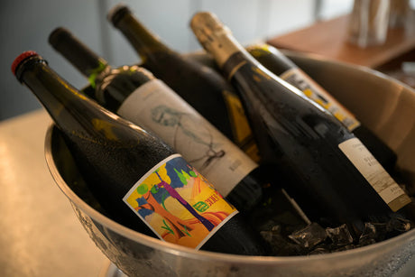 Key Features to Seek in a Premium Wine Cooler