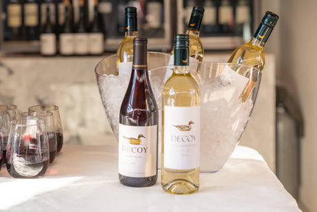 Your Ultimate Buying Guide for Premium Wine Coolers