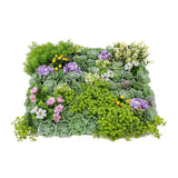 Designer Plants USA Artificial Dense Succulent Green Wall Panel 20" x 20" UV Resistant