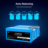 SunGoldPower 24V 100Ah LiFePO4 Deep Cycle Lithium Battery Bluetooth Self-Heating IP65