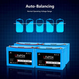 SunGoldPower 12V 100Ah LiFePO₄ Deep Cycle Lithium Battery Bluetooth Self-Heating IP65