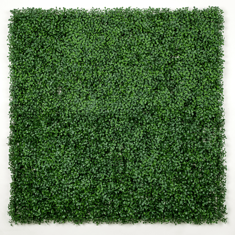 Designer Plants USA Dark Artificial Boxwood Wall 6 Pieces 40" x 40" Set Commercial Grade
