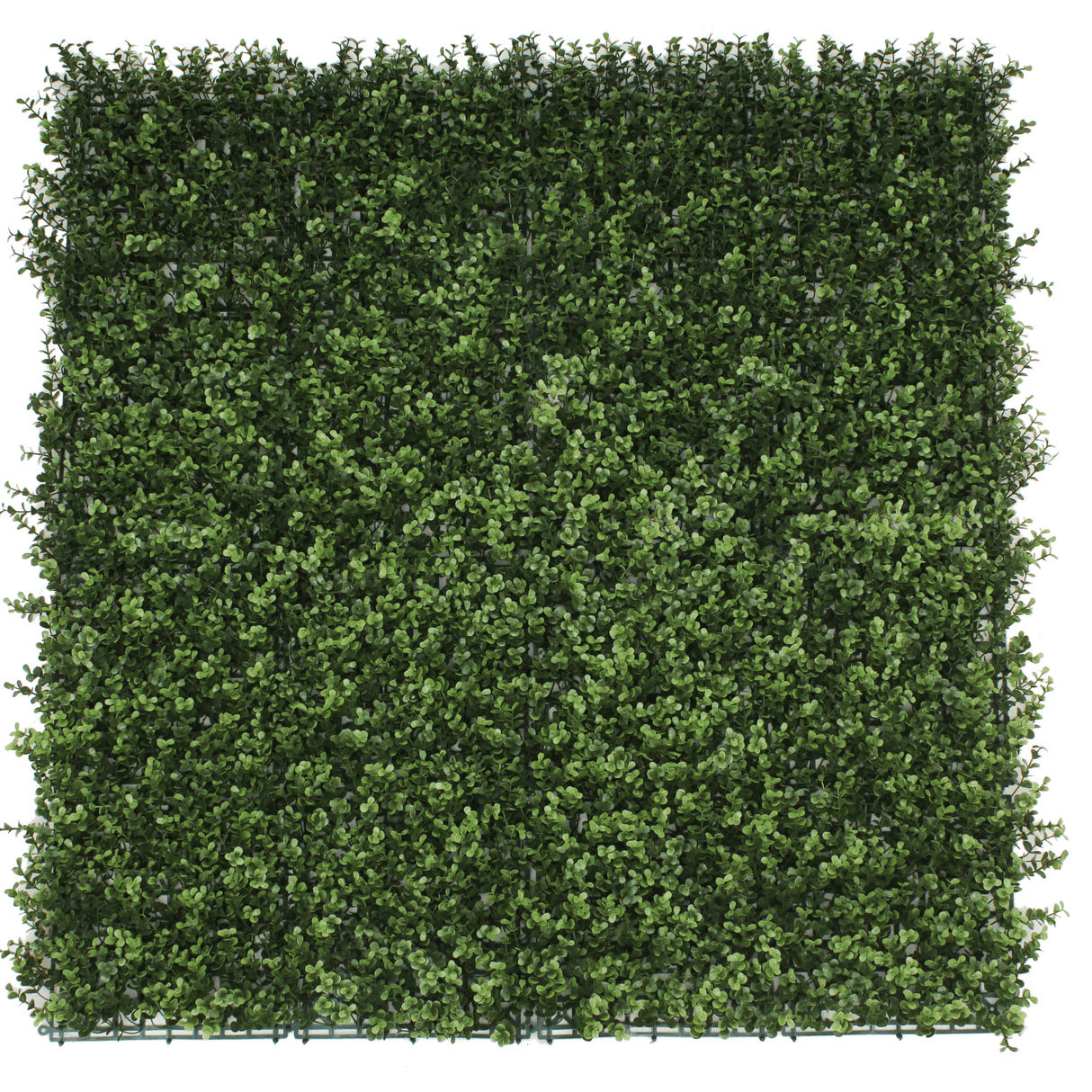Designer Plants USA Natural Artificial Boxwood Wall 40"x40" Commercial Grade UV Resistant