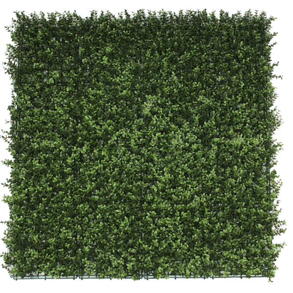 Designer Plants USA Natural Artificial Boxwood Wall 40"x40" Commercial Grade UV Resistant