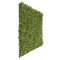 Designer Plants USA Natural Artificial Boxwood Wall 40"x40" Commercial Grade UV Resistant