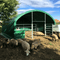 Chery Industrial 13' x 13' Livestock Corral Shelter with front door