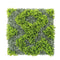Designer Plants USA Natural Green and White Artificial Moss Green Wall UV Resistant 40x40