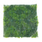 Designer Plants USA Natural Green and White Artificial Moss Green Wall UV Resistant 40x40