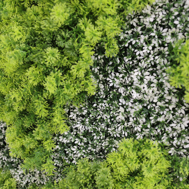 Designer Plants USA Natural Green and White Artificial Moss Green Wall UV Resistant 40x40