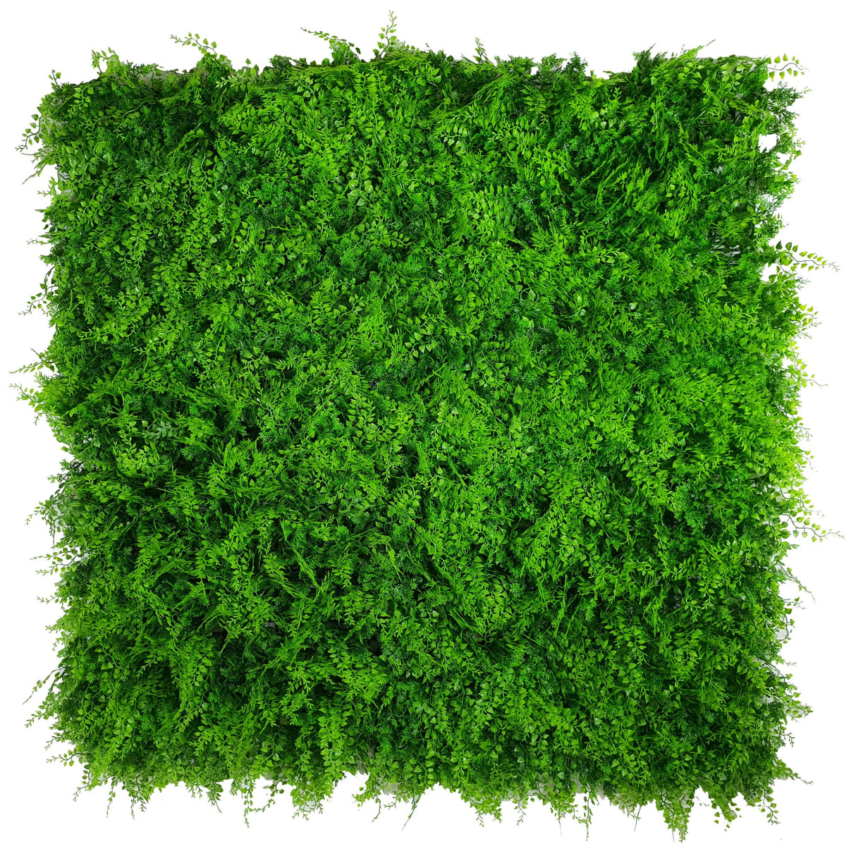Designer Plants USA Lush Fern Artificial Green Wall 40" x 40" 11SQ FT Commercial Grade UV Resistant