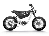 Himiway C5 750W 48V 20Ah Electric Bike