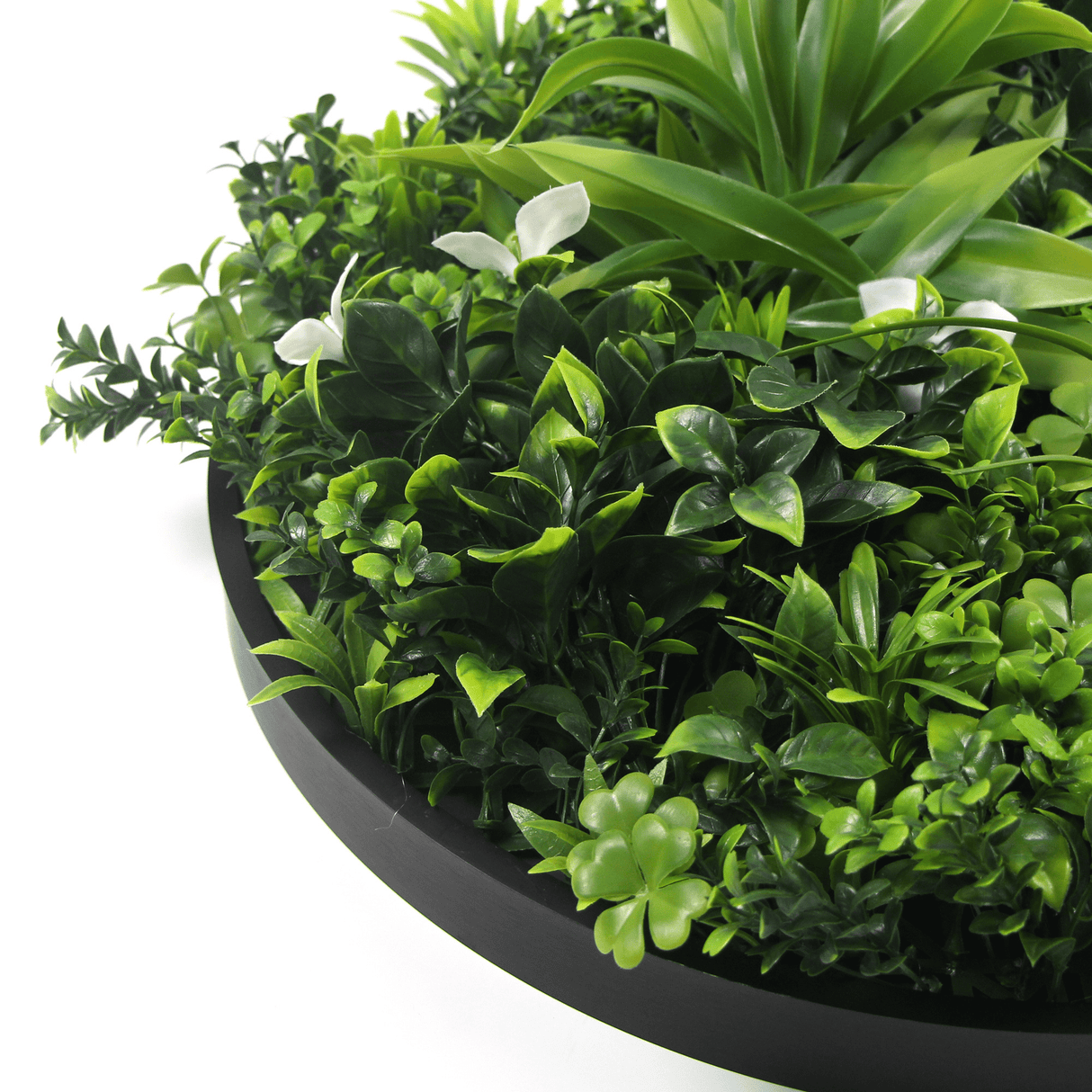 Designer Plants USA Luxury Artificial Green Plant Wall Circle 30" Black Frame UV Resistant