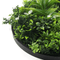 Designer Plants USA Luxury Artificial Green Plant Wall Circle 30" Black Frame UV Resistant