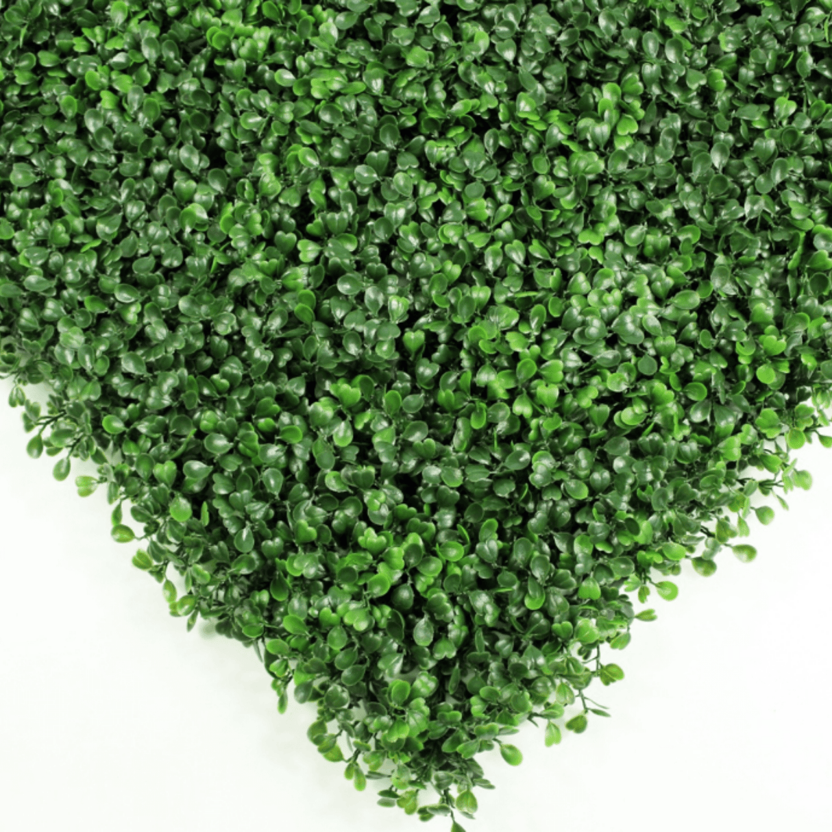 Designer Plants USA Dark Artificial Boxwood Wall 40" x 40" 11SQ FT Commercial Grade UV Resistant