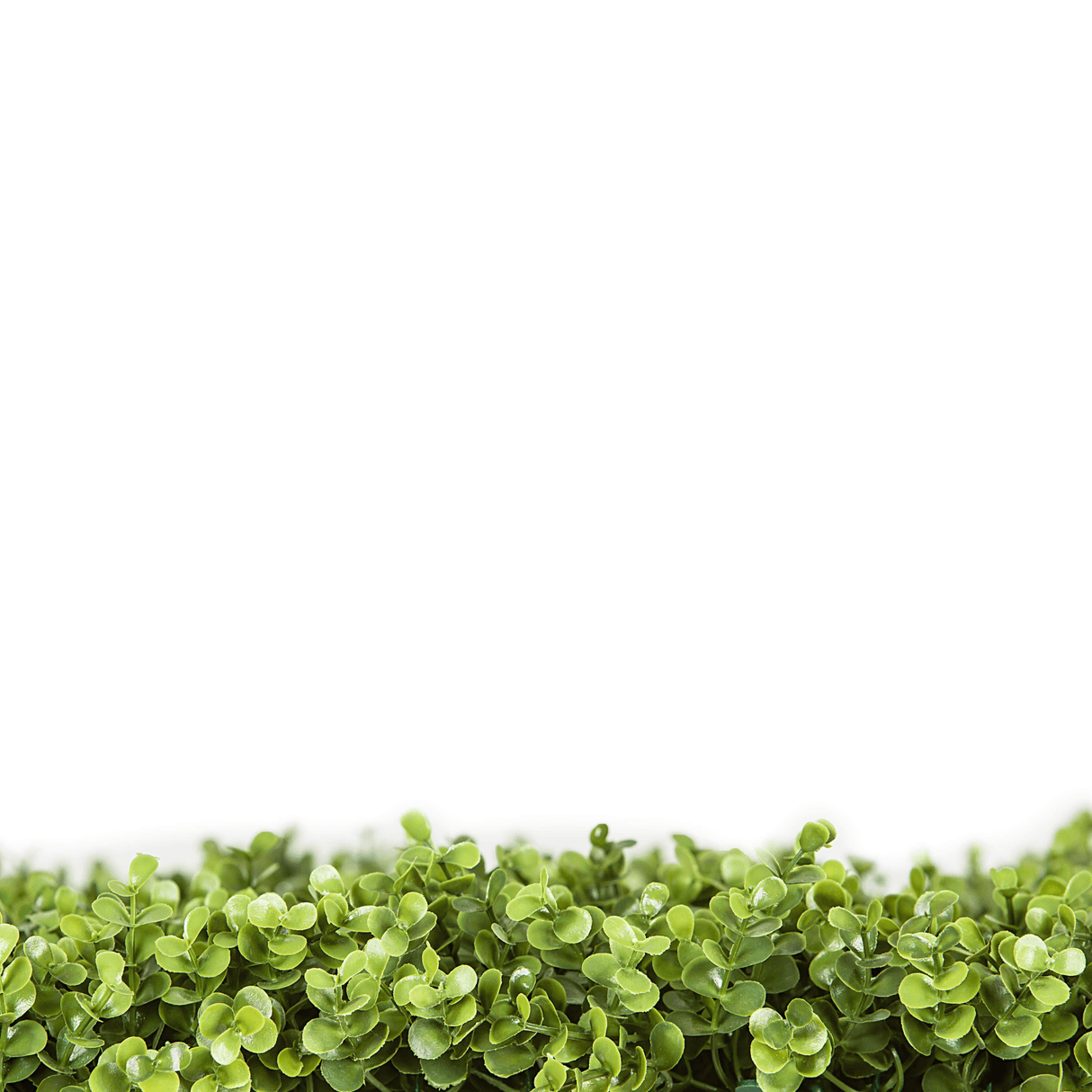 Designer Plants USA Natural Artificial Boxwood Wall 40"x40" Commercial Grade UV Resistant