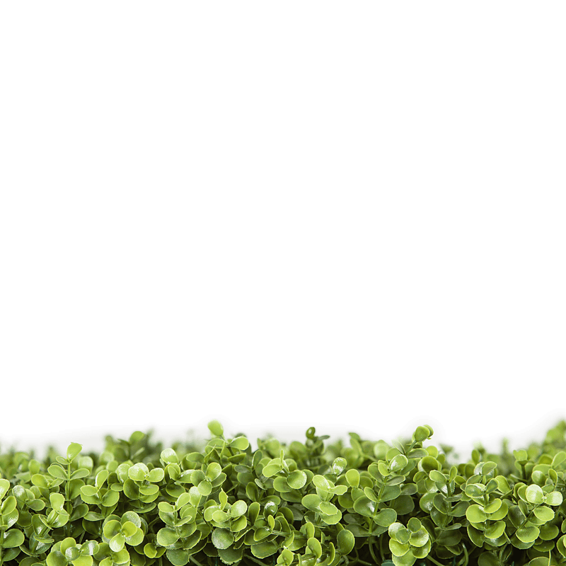 Designer Plants USA Natural Artificial Boxwood Wall 40"x40" Commercial Grade UV Resistant