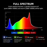 Spider Farmer G1000 1000 Watt Smart Dimmable Full Spectrum High Yield Commercial LED Grow Light for 5X5 Grow Tent