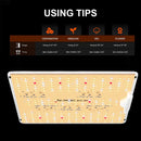 Spider Farmer 2’x2′X4.6′ Complete Grow Tent Kit SF1000D LED Grow Light 6” Clip Fan 4” Ventilation System