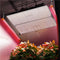 Spider Farmer Supplemental Far Red 730nm 16 Watt LED Light Bar Set for Plant (23.6” ) – Model: IR16