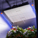 Spider Farmer Supplemental UV30 365nm 30 Watt LED Light Bar Set for Plant (23.6” ) – Model: UV30