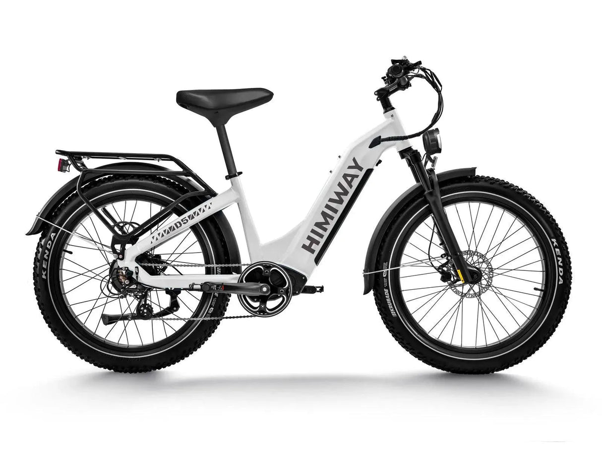 Himiway D5 ST (Zebra ST) 750W All-Terrain Step-Thru Fat Tire Electric Bike