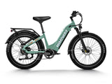 Himiway D5 ST (Zebra ST) 750W All-Terrain Step-Thru Fat Tire Electric Bike