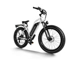 Himiway D3 (Cruiser) 750W Long Range Fat Tire Electric Bike